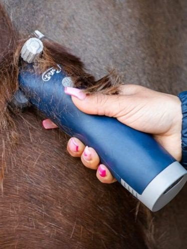 Hesteklippere og Skær