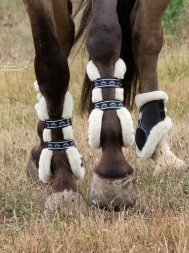 Lammeskinds Produkter