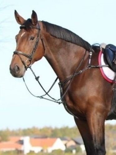 PRooF Fortøj og Hjælpetøjler