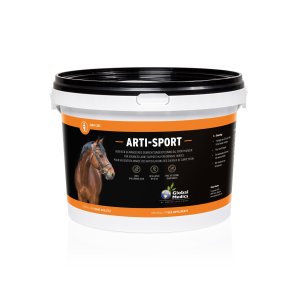Global Medics Arti Sport 1 KG