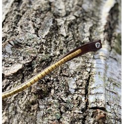 PRooF Wave Clincher pandeb�nd brun - Messing