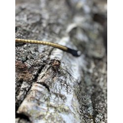 PRooF Wave Clincher pandeb�nd sort - Messing