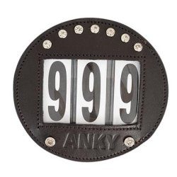 St�vnenummer i l�der med sten