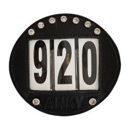 St�vnenummer i l�der med sten