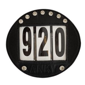 Stvnenummer i lder med sten