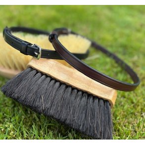 PRooF Rem til n�seb�nd