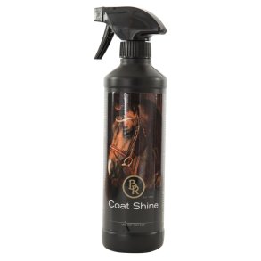 BR Coat shine 500ml
