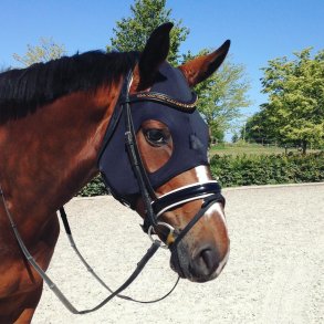 Fenwick Titanium maske