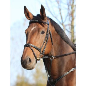 PRooF Anatomisk Trense