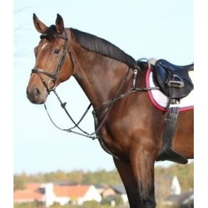 PRooF Fortj 3 punkts fste