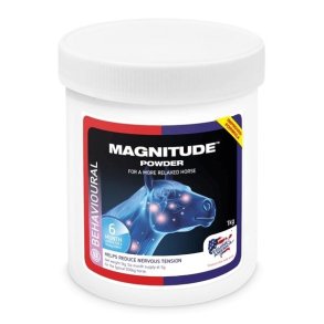 Magnitude1 kg