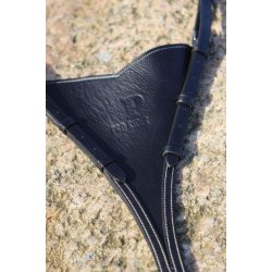 PRooF V Plade til fotj