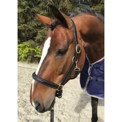 PRooF exclusiv trktov