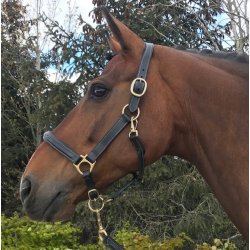 PRooF exclusiv trktov