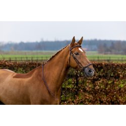 Trust Barcelona Trense med drop n�seb�nd