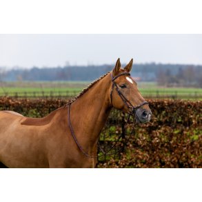 Trust Barcelona Trense med drop n�seb�nd